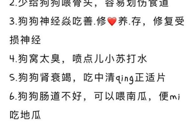 一步步教你为新宠狗狗选择一个完美的名字
