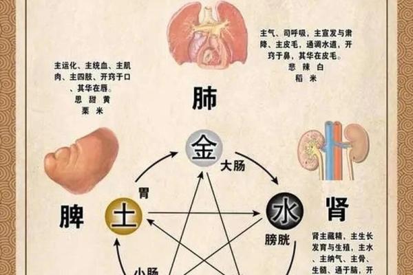 小玄空五行的奥秘解析：如何利用五行运势提升生活质量