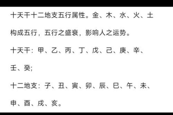 五行理论解读：如何通过周易掌握人生的五大元素