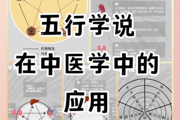 五行理论解读：如何通过周易掌握人生的五大元素