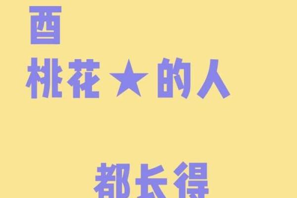生辰八字揭秘你的桃花运，掌握这些提升爱情运势的小技巧！