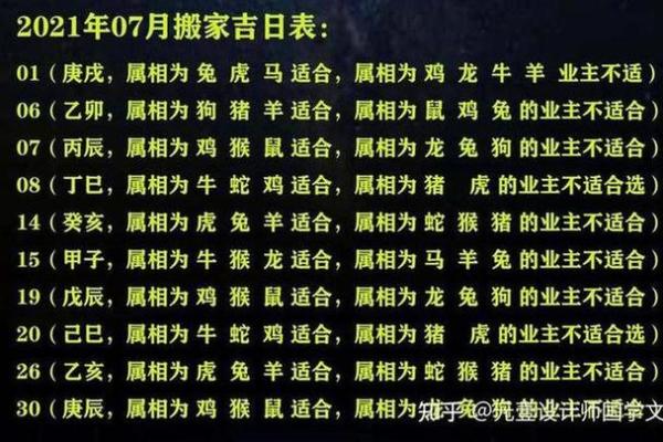 属鼠人的运势解析：挑战与机遇并存