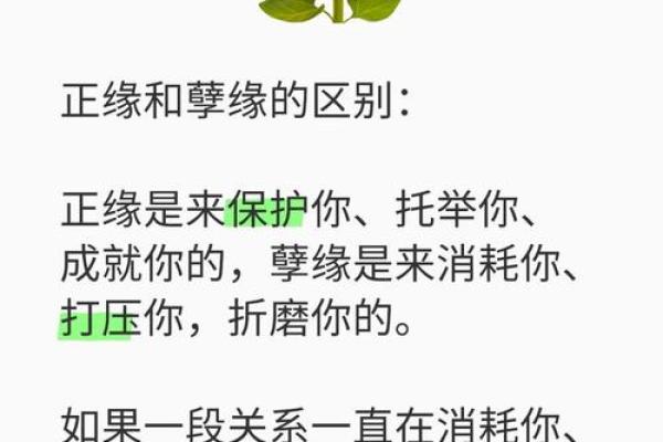 八字缘分如何影响你的爱情运势