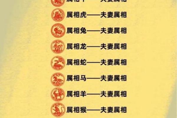 属蛇与属龙的爱情能否长久？探秘两者的配对缘分