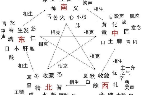 探索刘玥悦五行之理：揭开五行与性格的秘密