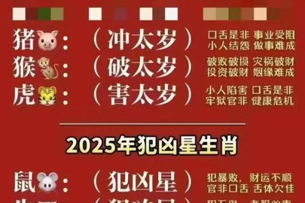 全面分析生肖运程，每月运势详解