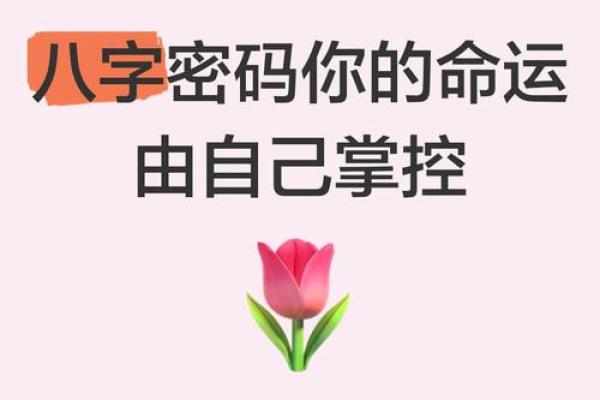 生辰八字揭秘：命运与人生的关键密码