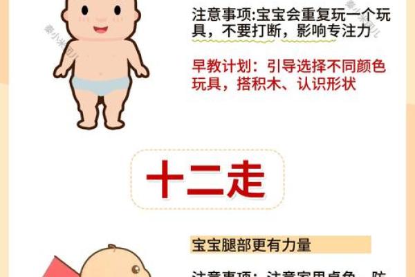 给八月男宝宝起个有寓意的名字，父母必看