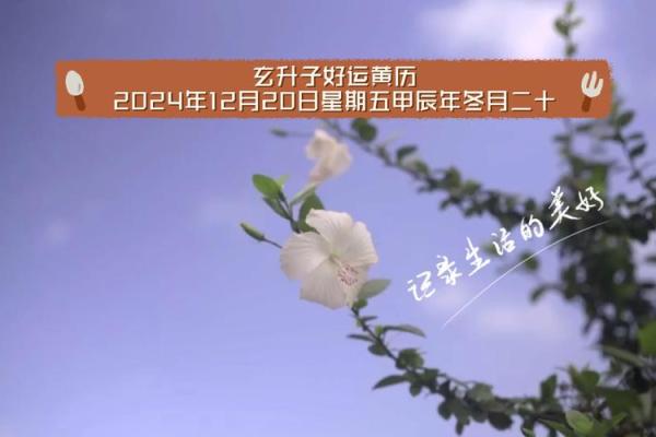 官方黄历万年历：权威预测，开启好运生活必备神器