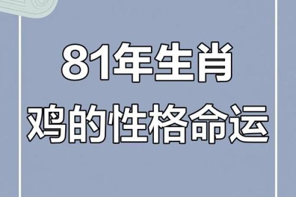 属鸡人的运势分析与趋势