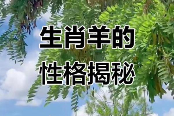 羊年出生的人命运特点与性格解析