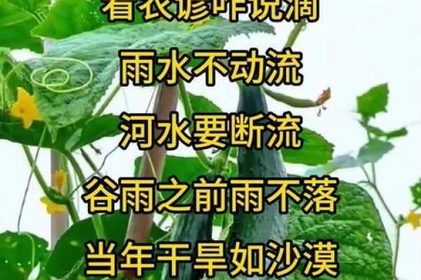 农历八月十四，这个节日如何影响了我们的生活？