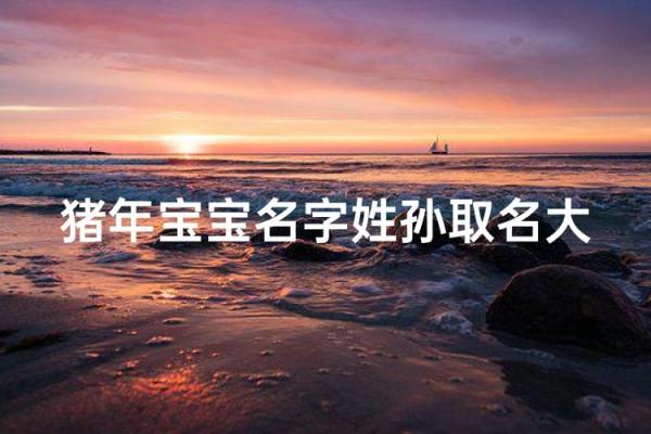 猪年宝宝名字寓意大全，选个最合适的