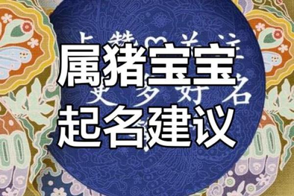 猪年宝宝名字寓意大全，选个最合适的