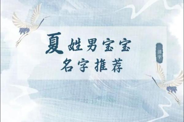 夏姓鸡宝宝起名指南：寓意深远的名字