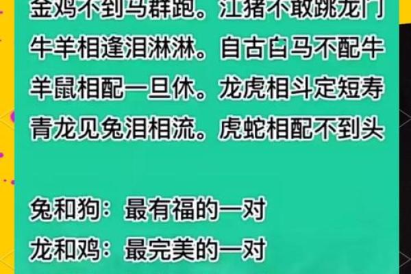 属蛇女和属鼠男性格互补的可能性