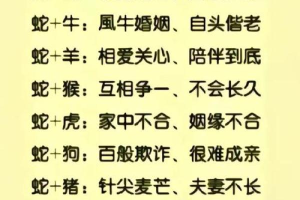 属蛇女和属鼠男性格互补的可能性