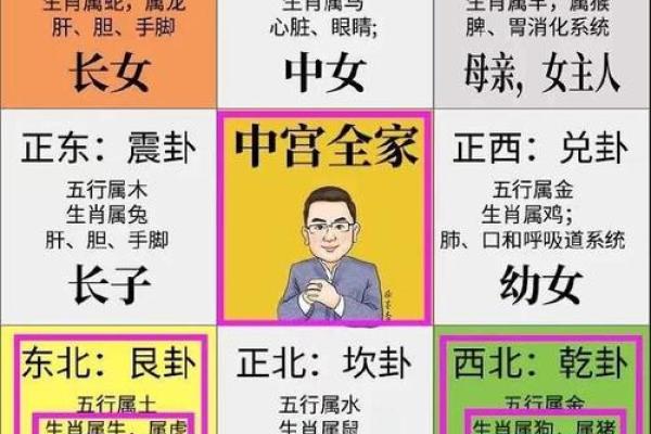 家庭风水布局指南视频教程详细讲解