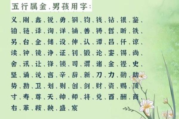 鑫五行能力如何提升你的生活质量，方法大公开