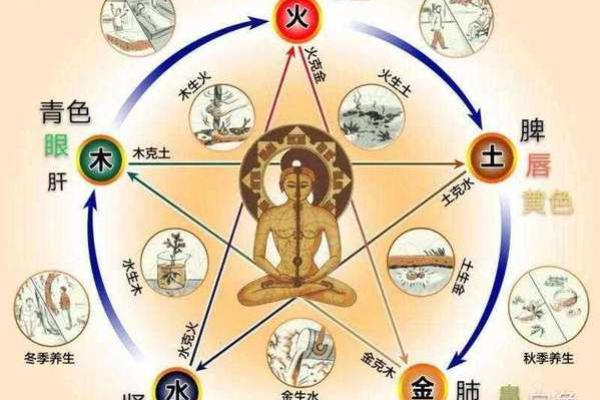 中国风水学：从传统到现代的空间能量流动