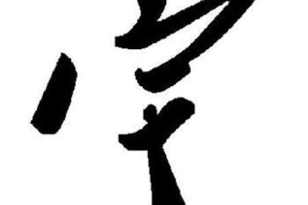 宇字命理解析：宇是属什么命的深度解答