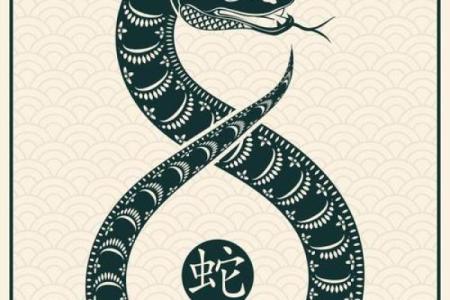 蛇与龙的相配寓意与性格兼容性分析