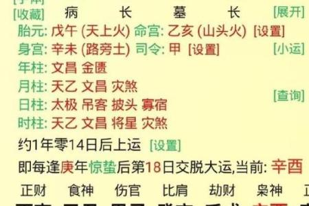 木生辰八字如何影响人生？深入解析木命的命运轨迹