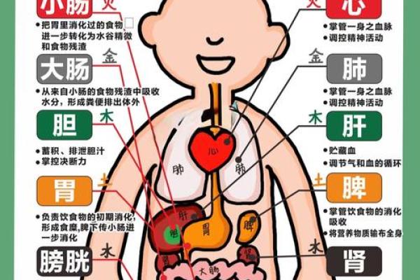 五行能量网解析：改善运势与健康的关键因素