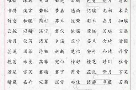 丹字在公司起名中的寓意与创意应用分析
