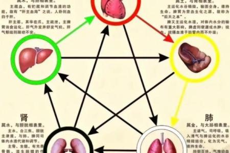 五行能量网解析：改善运势与健康的关键因素