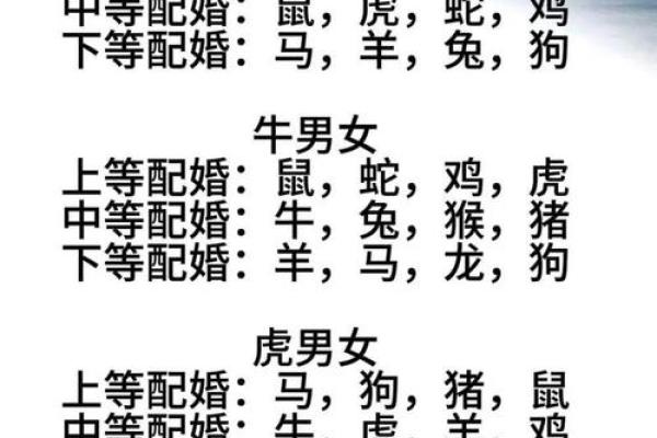 探讨男猴女猴婚姻的配对情况 是否注定幸福