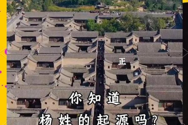 杨姓姓氏文化与起名的关联