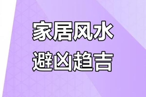 家居风水游戏揭秘：用趣味方式调理家庭气场