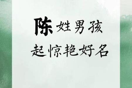 陈姓男孩起名技巧与精选名字