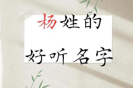 杨姓姓氏文化与起名的关联