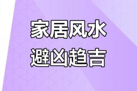 家居风水游戏揭秘：用趣味方式调理家庭气场