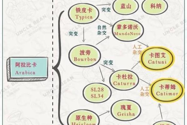 一览咖啡名称大全，带你品味世界各地风情