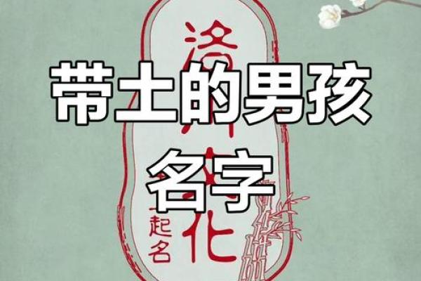 如何为男孩挑选一个有土属性的名字