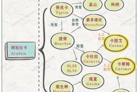 一览咖啡名称大全，带你品味世界各地风情
