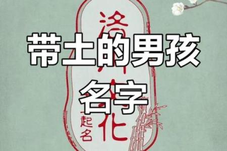 如何为男孩挑选一个有土属性的名字