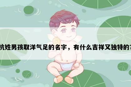 杭姓男孩取洋气足的名字，有什么吉祥又独特的？