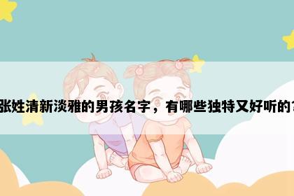 张姓清新淡雅的男孩名字，有哪些独特又好听的？