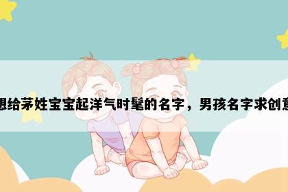 想给茅姓宝宝起洋气时髦的名字，男孩名字求创意