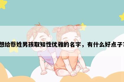 想给蔡姓男孩取知性优雅的名字，有什么好点子？