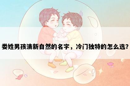 娄姓男孩清新自然的名字，冷门独特的怎么选？